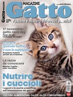 Gatto Magazine